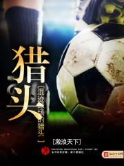 凤回巢 寻找失落的爱情